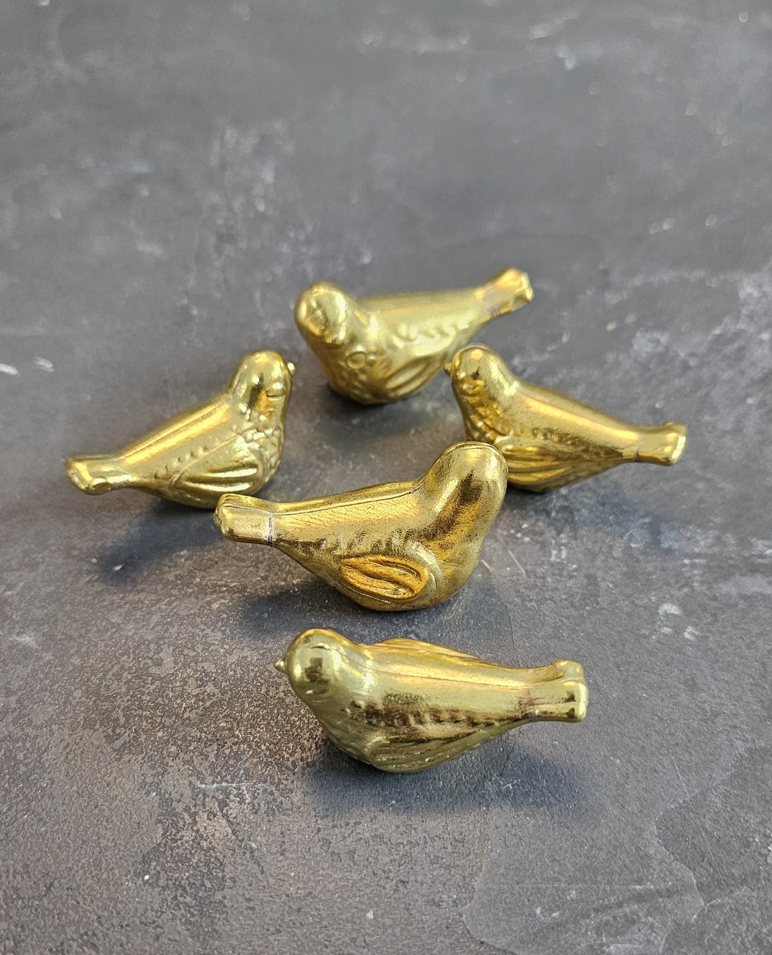 گنجشک دم کوتاه