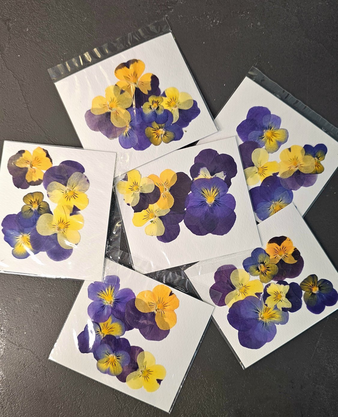 گل بنفشه مینیاتوری 