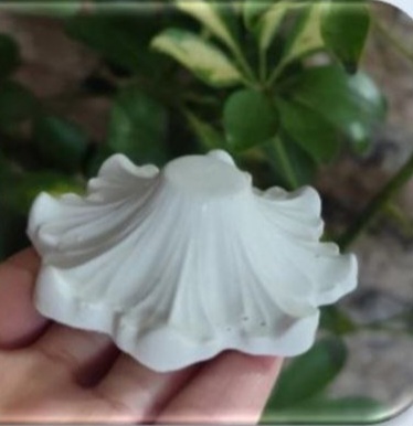 قالب طلقی کد( 65 )