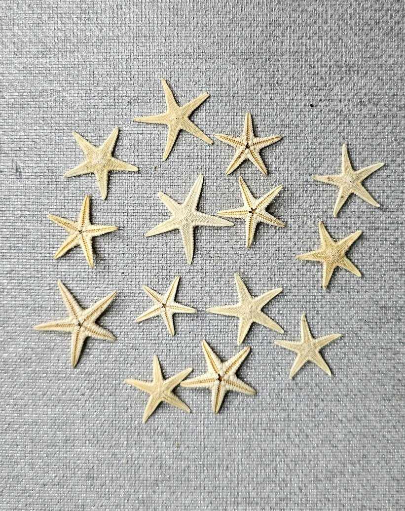 ستاره تخت ریز ( کد 3 )