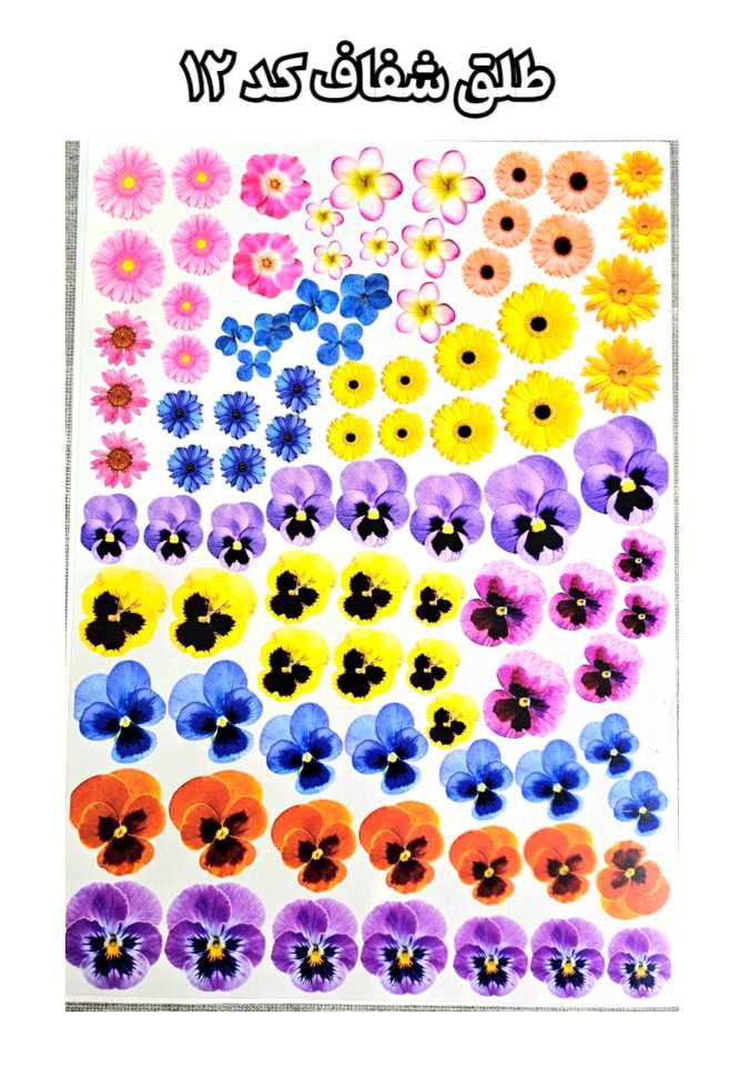 طلق شفاف طرح گل ( کد 12)